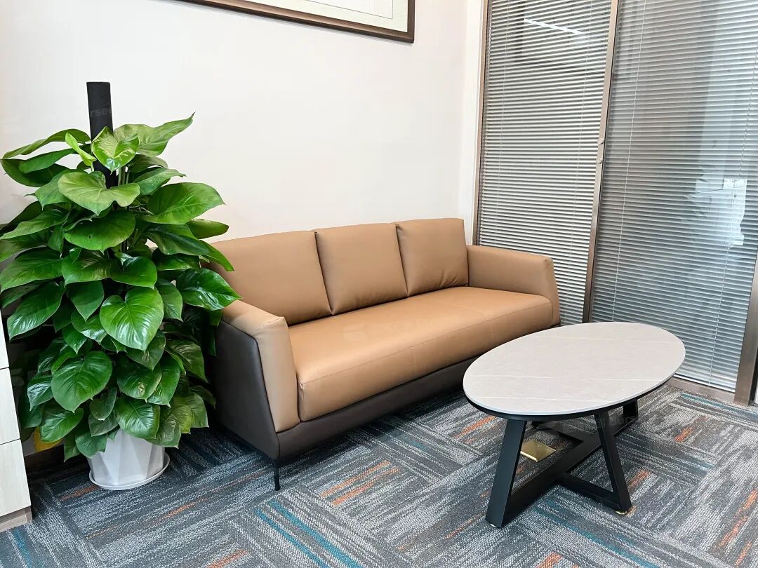 深圳市智能科技有限公司